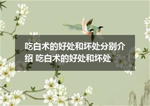 吃白术的好处和坏处分别介绍 吃白术的好处和坏处