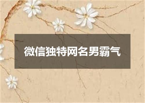 微信独特网名男霸气