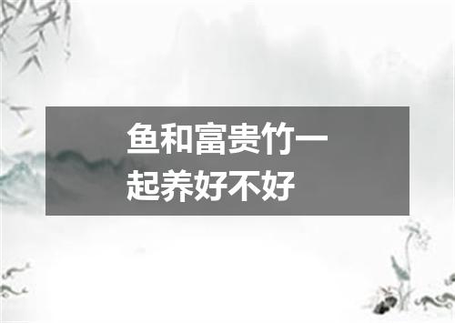 鱼和富贵竹一起养好不好