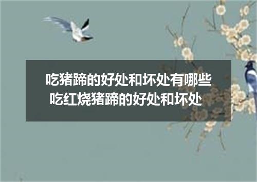 吃猪蹄的好处和坏处有哪些 吃红烧猪蹄的好处和坏处