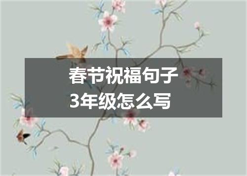 春节祝福句子3年级怎么写