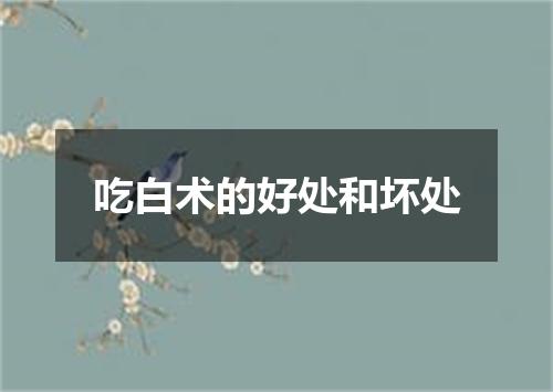 吃白术的好处和坏处