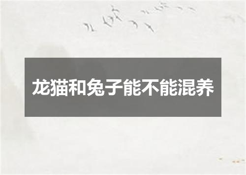 龙猫和兔子能不能混养