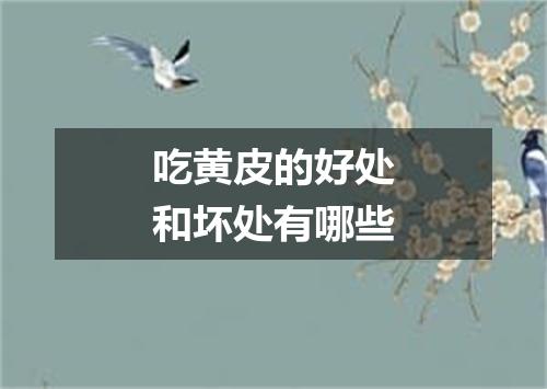 吃黄皮的好处和坏处有哪些