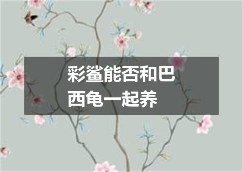 彩鲨能否和巴西龟一起养