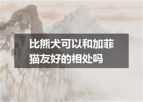 比熊犬可以和加菲猫友好的相处吗