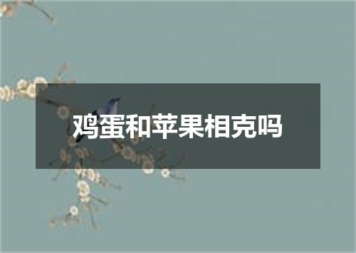 鸡蛋和苹果相克吗