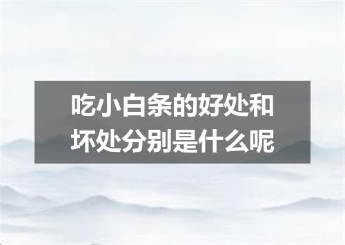 吃小白条的好处和坏处分别是什么呢