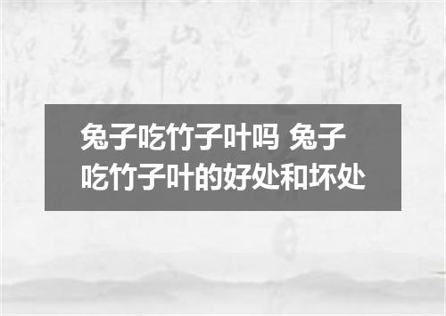 兔子吃竹子叶吗 兔子吃竹子叶的好处和坏处
