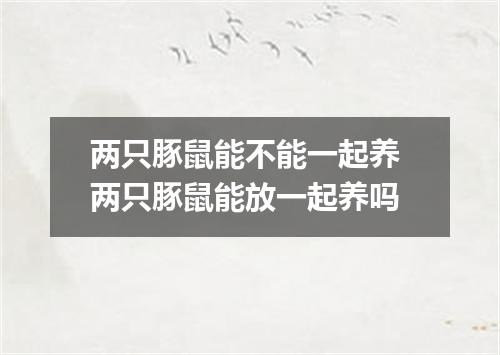 两只豚鼠能不能一起养 两只豚鼠能放一起养吗