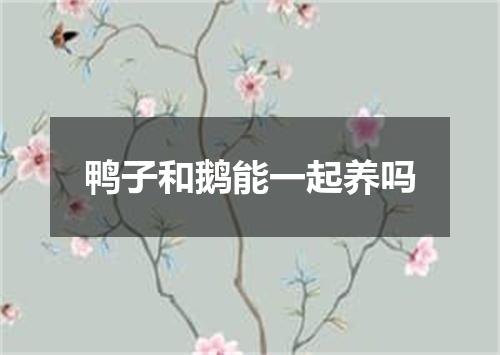 鸭子和鹅能一起养吗