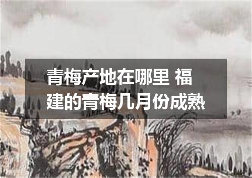 青梅产地在哪里 福建的青梅几月份成熟