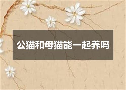 公猫和母猫能一起养吗