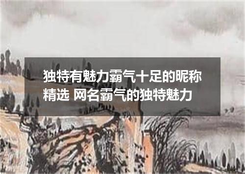 独特有魅力霸气十足的昵称精选 网名霸气的独特魅力