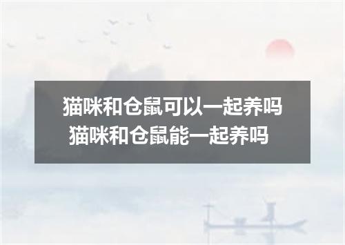 猫咪和仓鼠可以一起养吗 猫咪和仓鼠能一起养吗