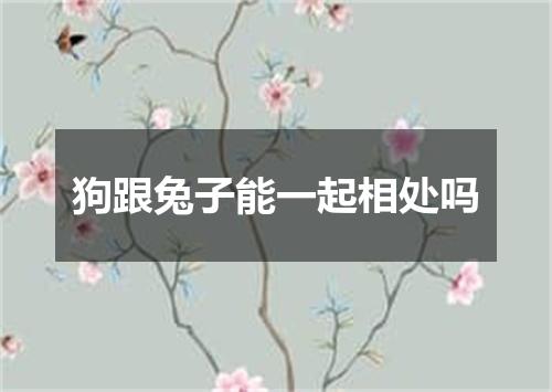 狗跟兔子能一起相处吗