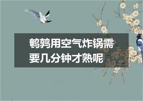 鹌鹑用空气炸锅需要几分钟才熟呢