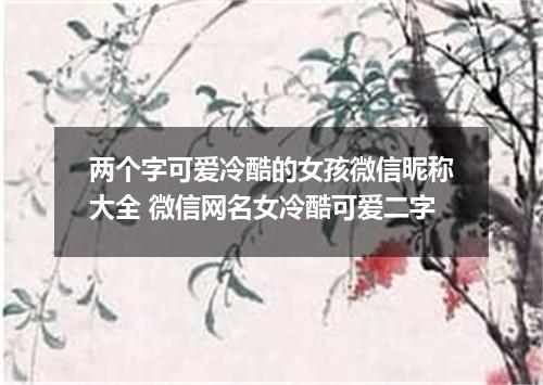 两个字可爱冷酷的女孩微信昵称大全 微信网名女冷酷可爱二字