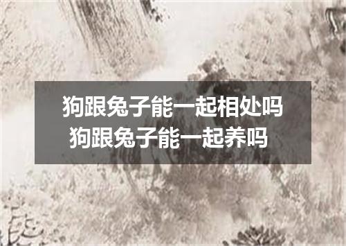 狗跟兔子能一起相处吗 狗跟兔子能一起养吗