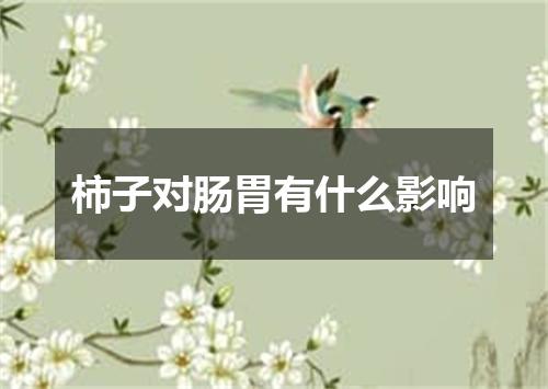 柿子对肠胃有什么影响