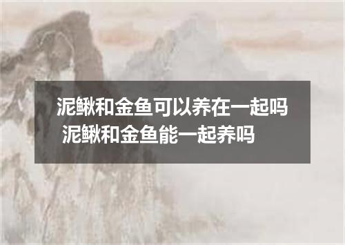 泥鳅和金鱼可以养在一起吗 泥鳅和金鱼能一起养吗