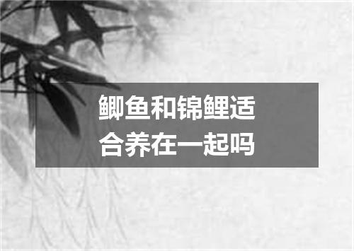 鲫鱼和锦鲤适合养在一起吗