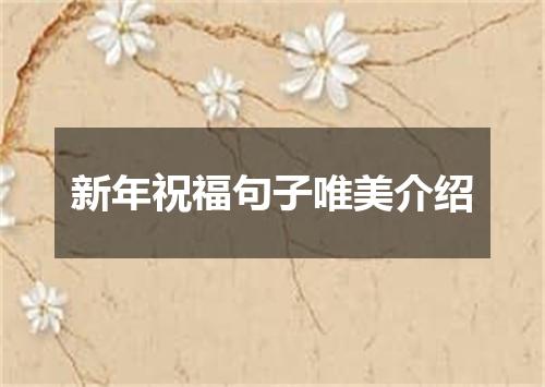 新年祝福句子唯美介绍