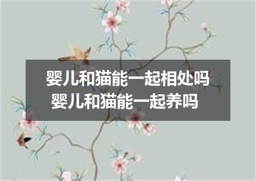 婴儿和猫能一起相处吗 婴儿和猫能一起养吗