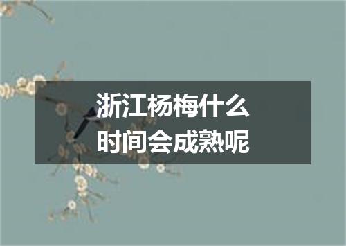 浙江杨梅什么时间会成熟呢
