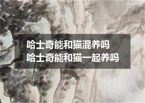 哈士奇能和猫混养吗 哈士奇能和猫一起养吗