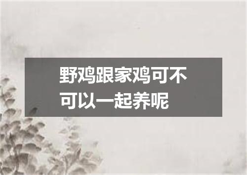 野鸡跟家鸡可不可以一起养呢