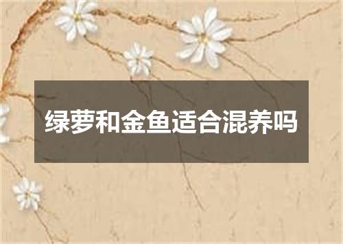 绿萝和金鱼适合混养吗