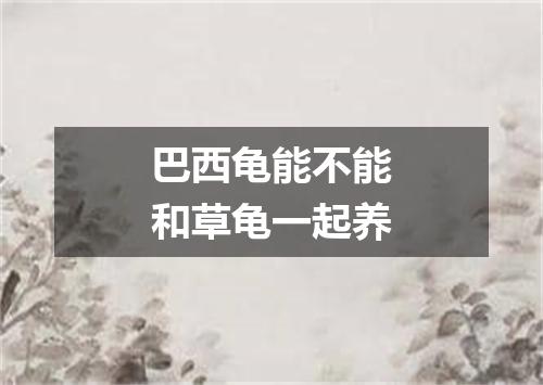 巴西龟能不能和草龟一起养