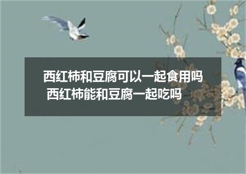 西红柿和豆腐可以一起食用吗 西红柿能和豆腐一起吃吗