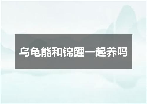 乌龟能和锦鲤一起养吗