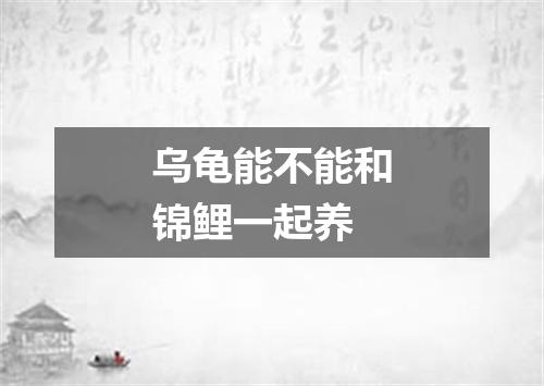 乌龟能不能和锦鲤一起养