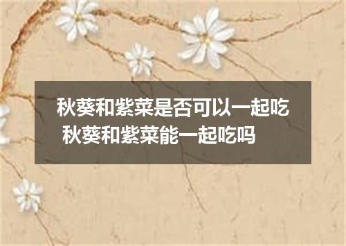 秋葵和紫菜是否可以一起吃 秋葵和紫菜能一起吃吗