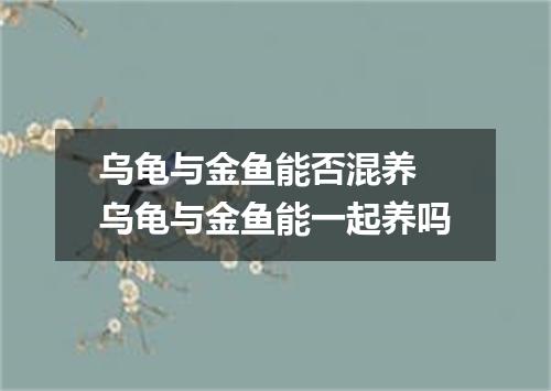 乌龟与金鱼能否混养 乌龟与金鱼能一起养吗