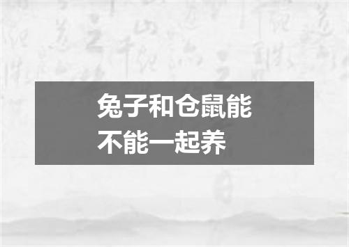 兔子和仓鼠能不能一起养