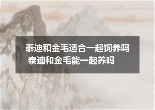 泰迪和金毛适合一起饲养吗 泰迪和金毛能一起养吗