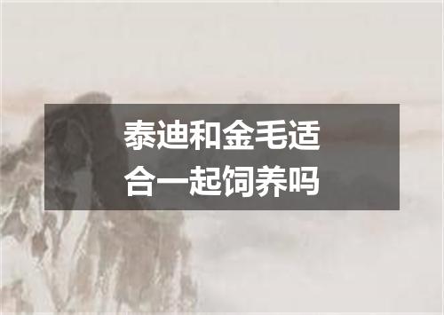 泰迪和金毛适合一起饲养吗