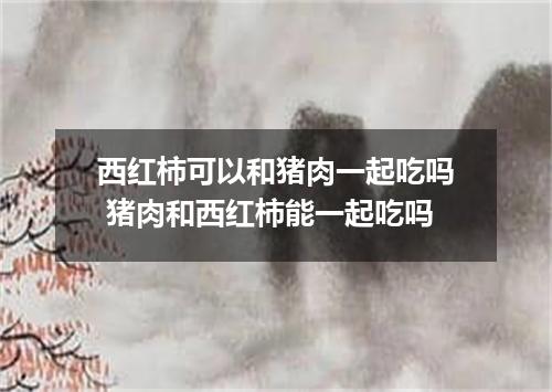 西红柿可以和猪肉一起吃吗 猪肉和西红柿能一起吃吗