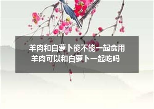羊肉和白萝卜能不能一起食用 羊肉可以和白萝卜一起吃吗