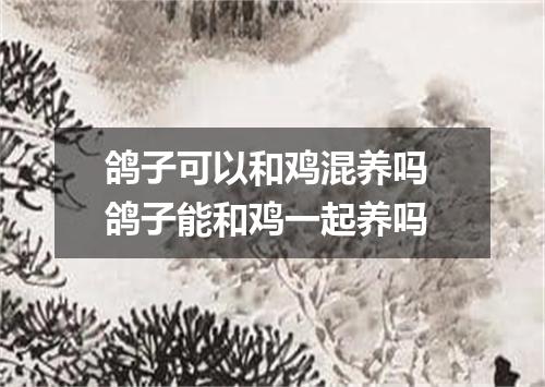 鸽子可以和鸡混养吗 鸽子能和鸡一起养吗