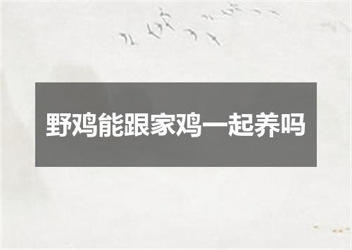 野鸡能跟家鸡一起养吗