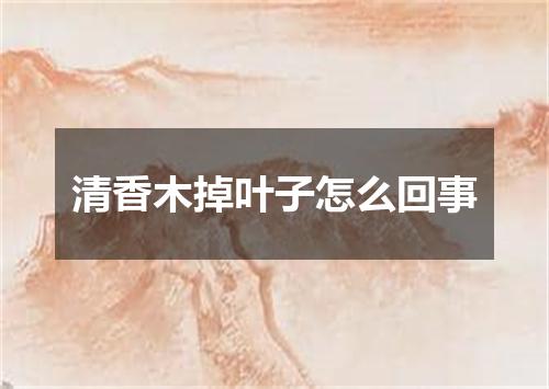 清香木掉叶子怎么回事