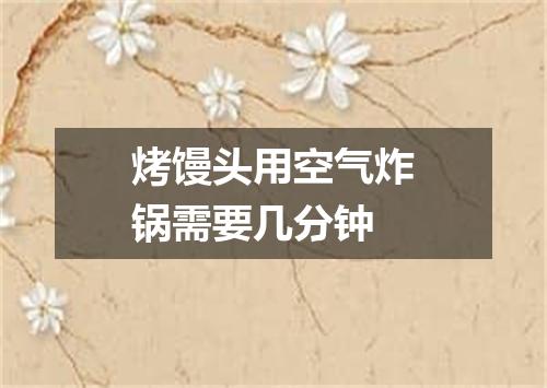 烤馒头用空气炸锅需要几分钟