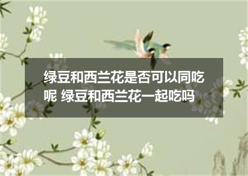 绿豆和西兰花是否可以同吃呢 绿豆和西兰花一起吃吗