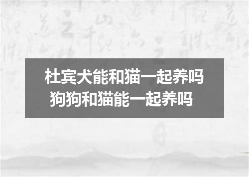 杜宾犬能和猫一起养吗 狗狗和猫能一起养吗