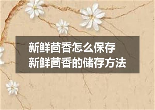 新鲜茴香怎么保存 新鲜茴香的储存方法